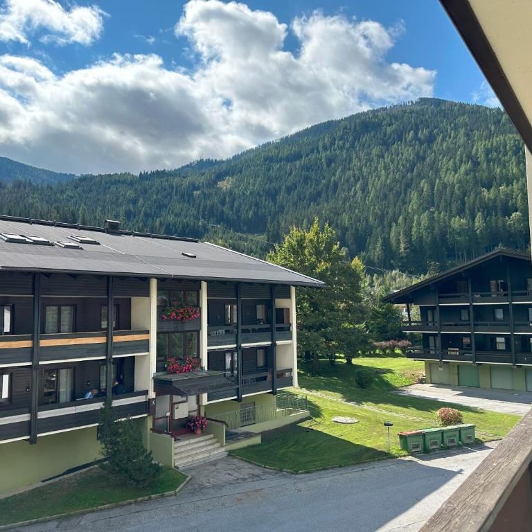SKI & SPA Family Apartment Bad Kleinkirchheim - Apartment mit 2 Schlafzimmern - 9