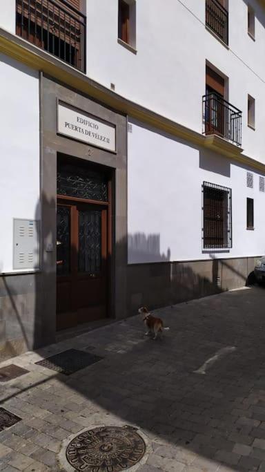 Apartamento con terraza en Almuñecar - Apartamento de 1 dormitorio - 18