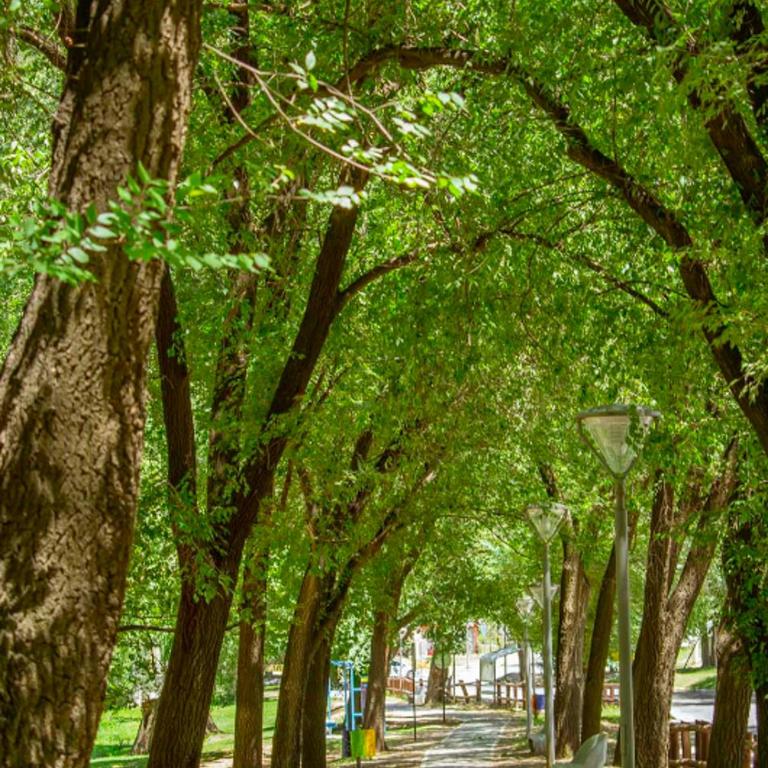 Hermoso departamento a estrenar 3 - Two-Bedroom Apartment - 12