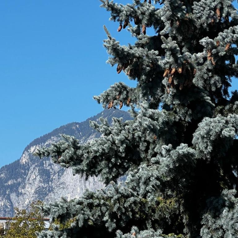 Apartment ANTON Innsbruck - Studio avec Balcon - 21