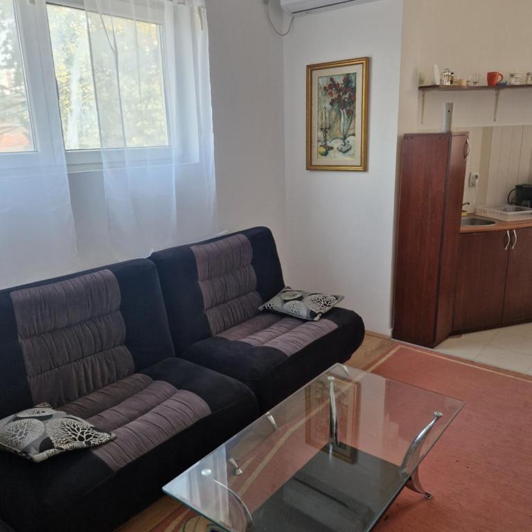 Apartmani Janićijević 1 - Two-Bedroom Apartment - 5