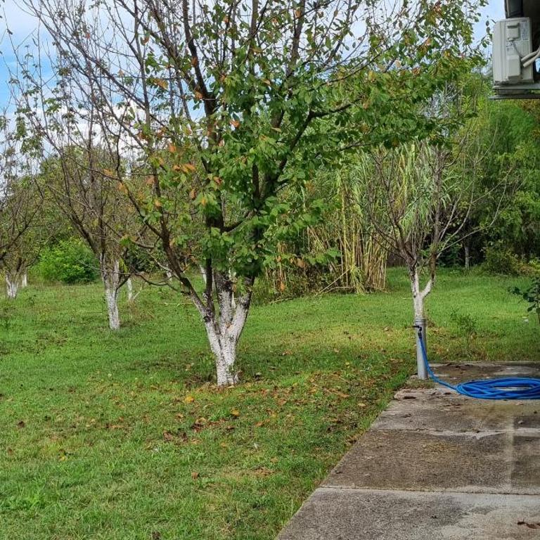 Milan Apartman - Apartman sa 1 Spavaćom Sobom - 4