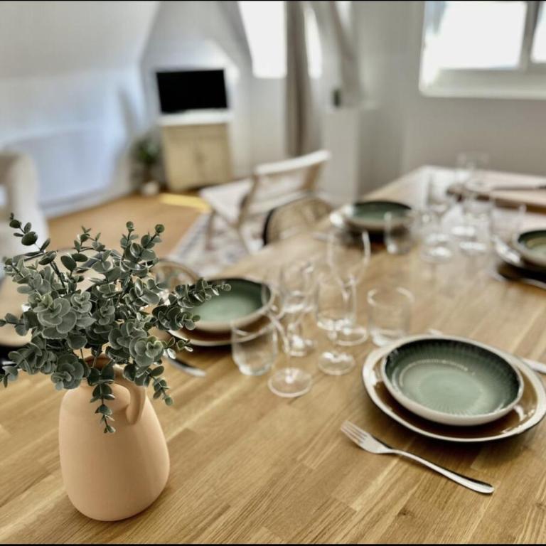 Eucalyptus - Reims - One-Bedroom Apartment - 6