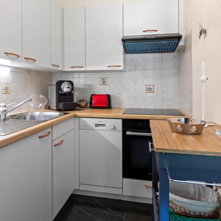 Appartement moderne et élégant à Château d'Oex - Apartment mit 1 Schlafzimmer - 13