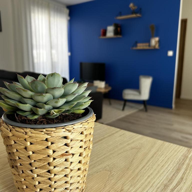 Voie des Sacres - Cathédrale de Reims - Apartamento de 2 dormitorios - 26