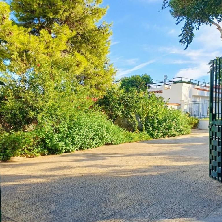 Casa a Mare La Stalletta - Vacation Home - 24