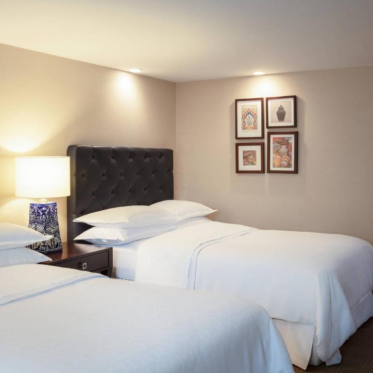 Sheraton Maria Isabel Mexico City Reforma - Junior Suite, Club lounge access, 1 Bedroom Junior Suite - 1