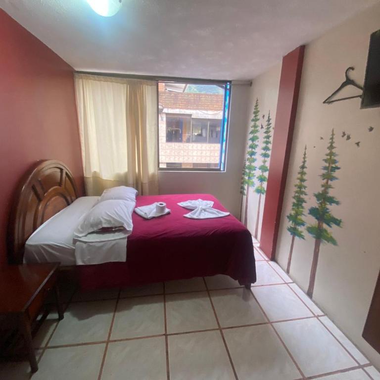 Andes Hostal - Habitación Doble con balcón - 6