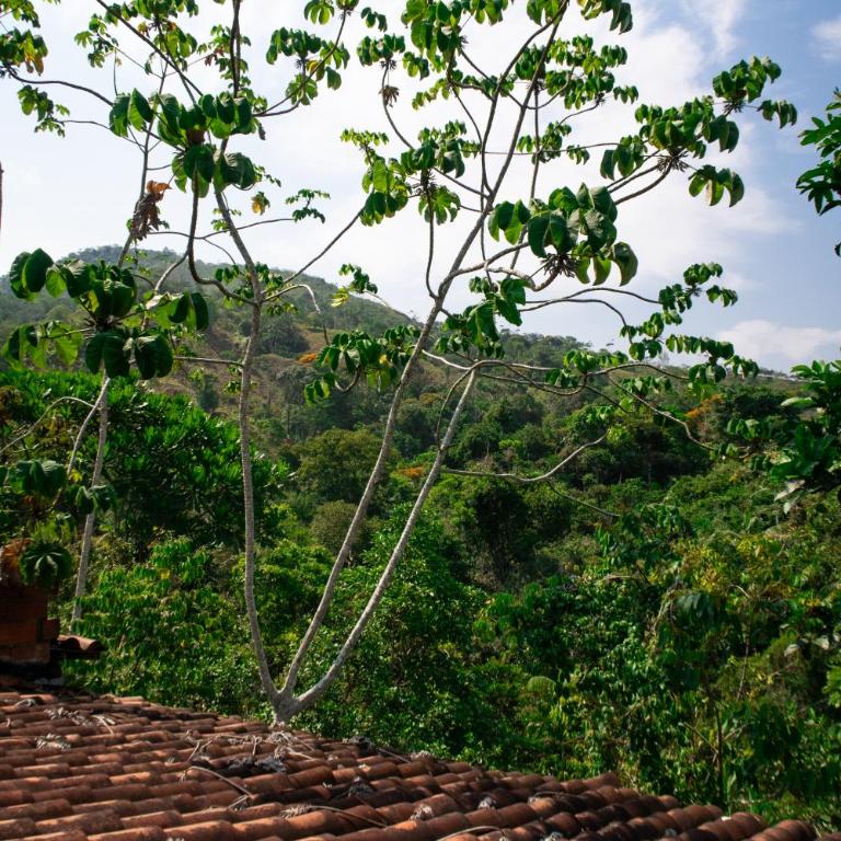Hospedaje RioBosque San Carlos - Budget Double Room - 5