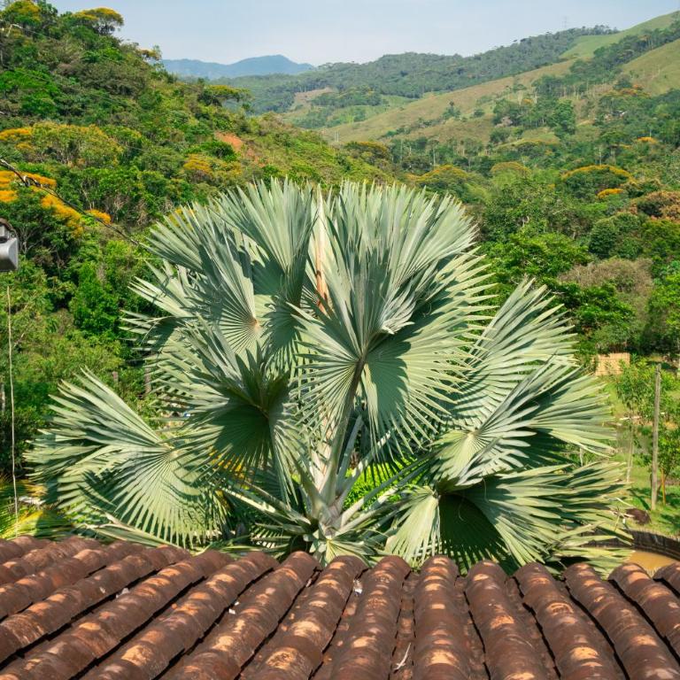 Hospedaje RioBosque San Carlos - Budget Double Room - 9