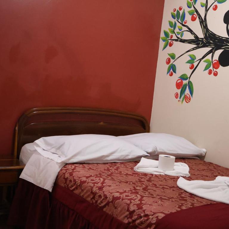 Andes Hostal - Economy Double Room - 3