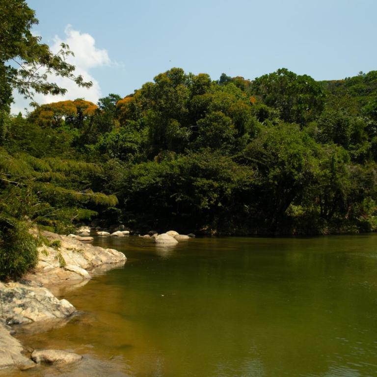 Hospedaje RioBosque San Carlos - Budget Double Room - 39