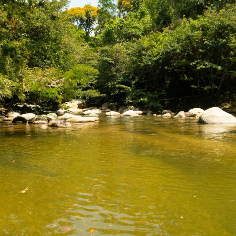 Hospedaje RioBosque San Carlos - Budget Double Room - 59
