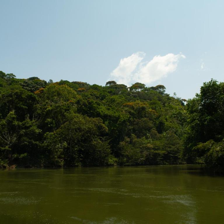 Hospedaje RioBosque San Carlos - Budget Double Room - 79