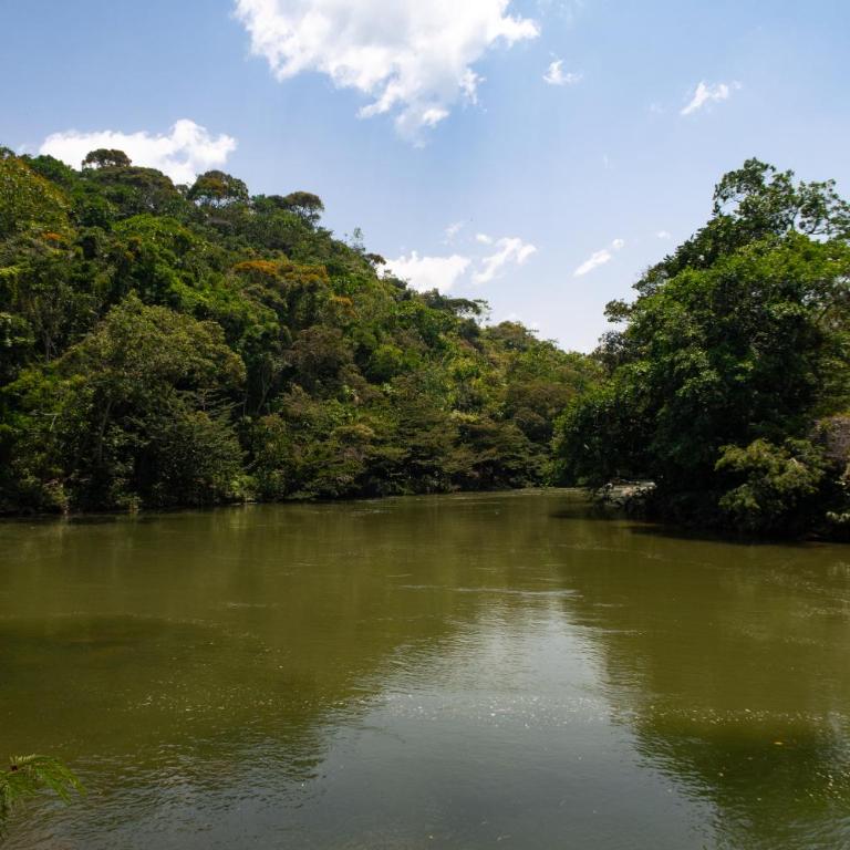 Hospedaje RioBosque San Carlos - Budget Double Room - 63