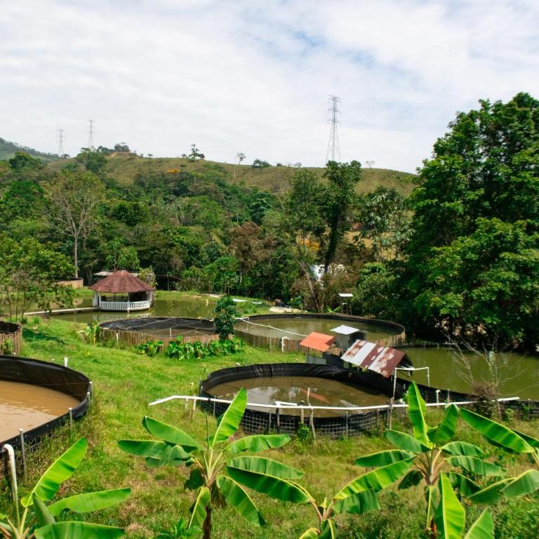 Hospedaje RioBosque San Carlos - Budget Double Room - 2