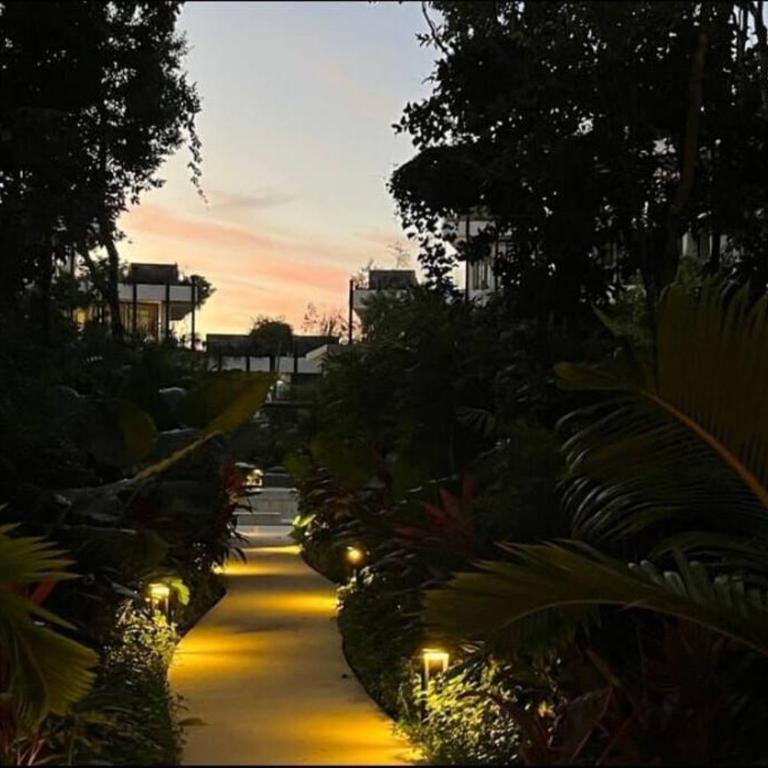 Mystiq Immers in Nature Jungle Living with Beach Access - One-Bedroom Apartment - 11