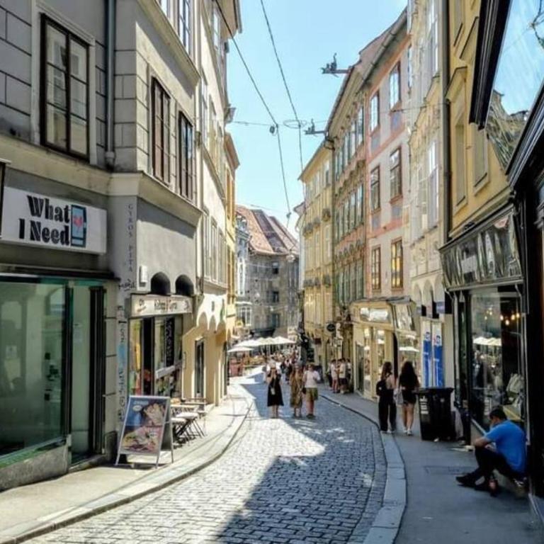 Annenstrasse GRAZ central Apartment'6Beds'freeParking - Appartement Supérieur - 22