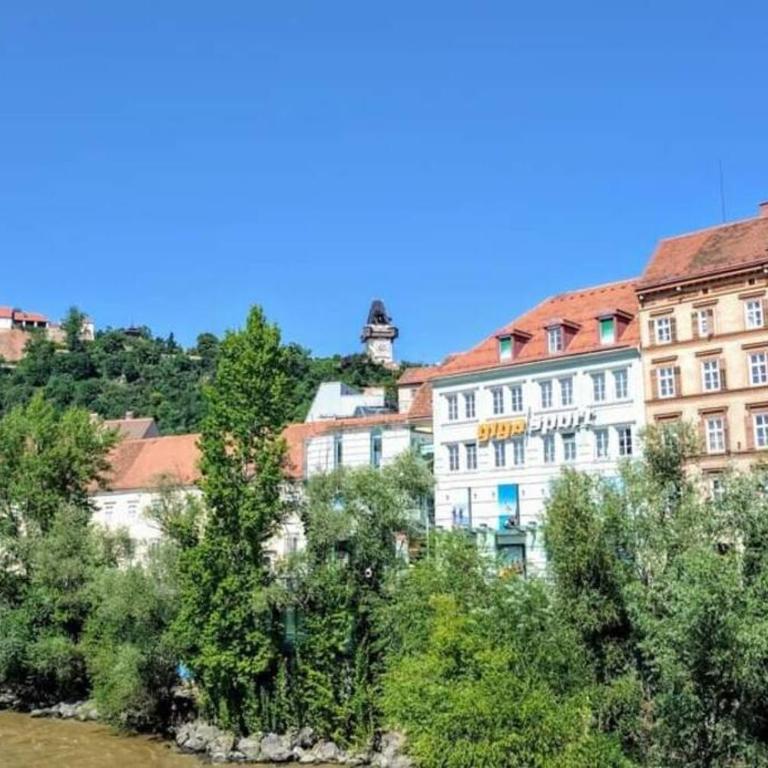 Annenstrasse GRAZ central Apartment'6Beds'freeParking - Appartement Supérieur - 31