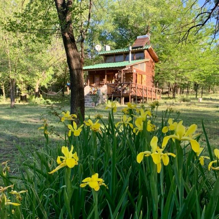 NOMADE cabin rent - Chalet de 1 dormitorio - 10