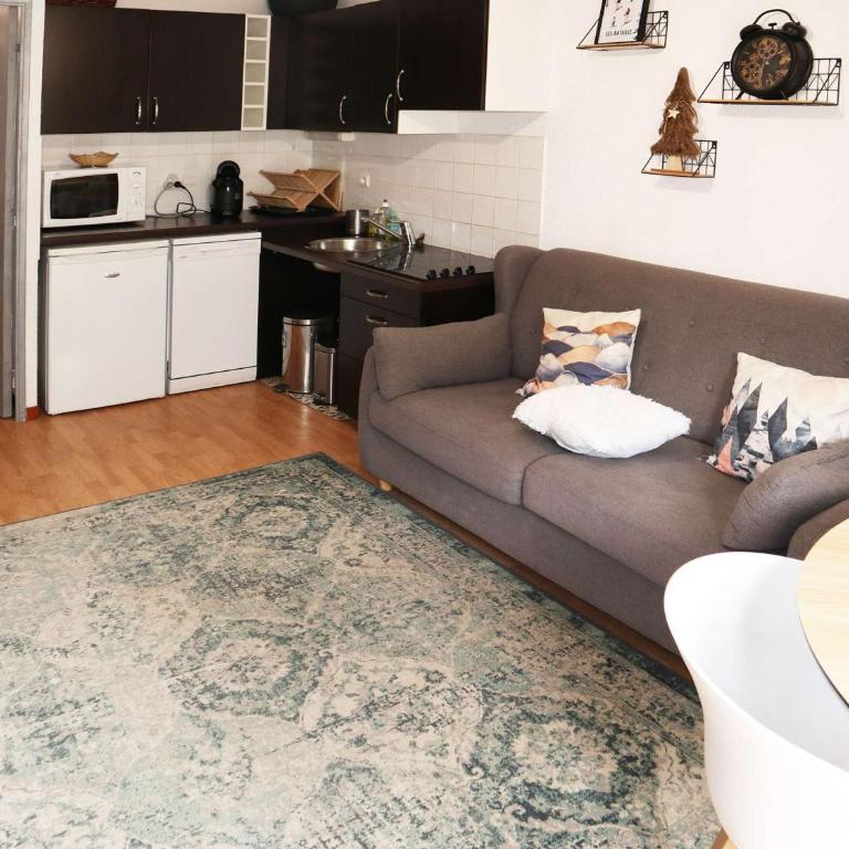 Appartement moderne 2 pièces 6 personnes avec piscine, sauna, hammam, wifi et animaux admis - FR-1-322-644 - Apartment - 5