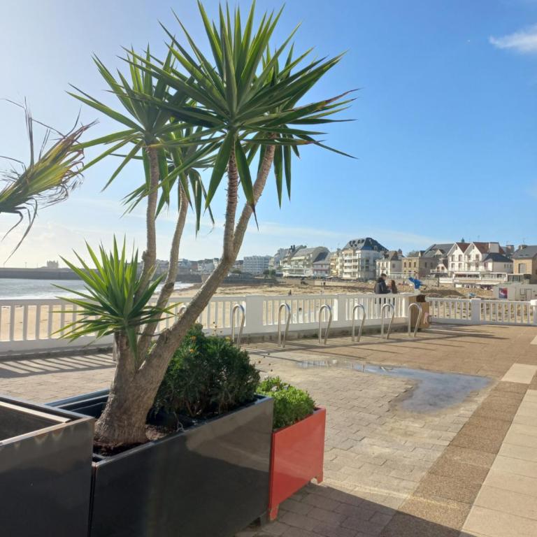 Studio du départ pour les îles Quiberon - Studio - 9