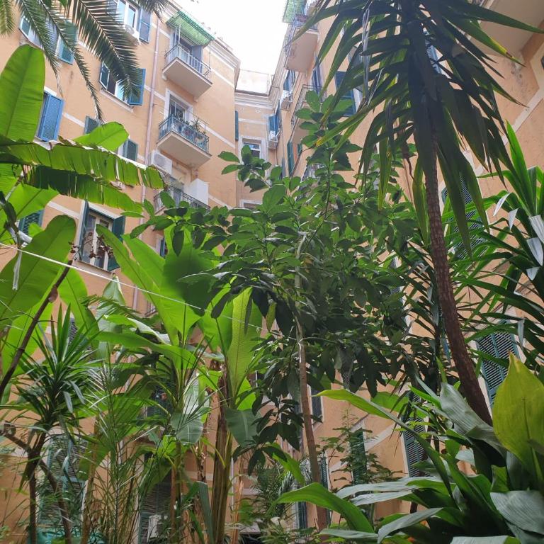 Roma apartment near to Colosseum Re-House - Casa Vacanze - 50