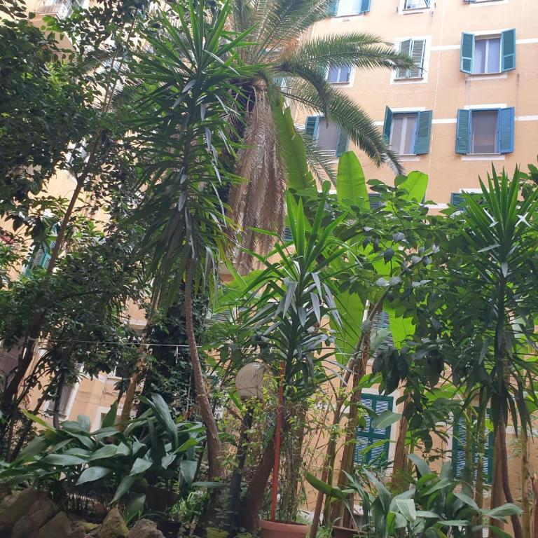 Roma apartment near to Colosseum Re-House - Casa Vacanze - 52