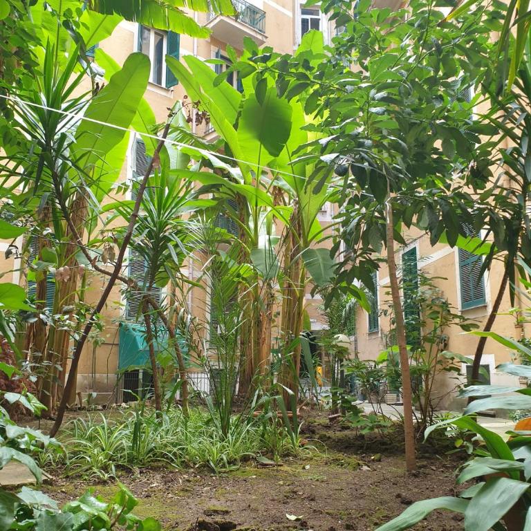 Roma apartment near to Colosseum Re-House - Casa Vacanze - 53
