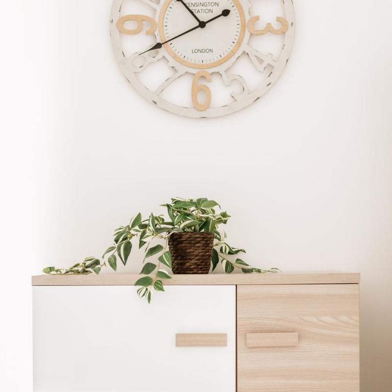 Botanic Apartments - Rooms - Appartamento con 1 Camera da Letto - 2