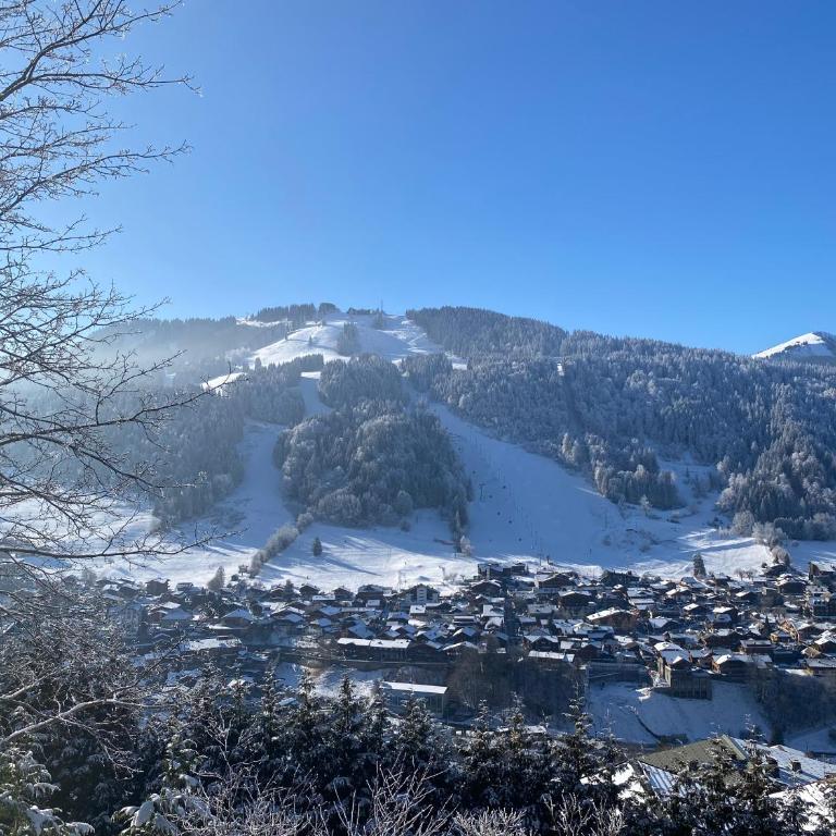 Mountainside Apartment with views over Morzine - Two-Bedroom Apartment - 13