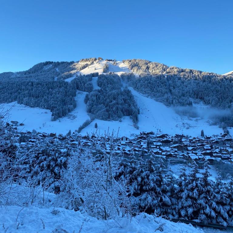 Mountainside Apartment with views over Morzine - Two-Bedroom Apartment - 14