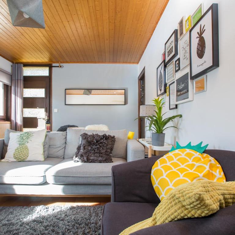 Mountainside Apartment with views over Morzine - Two-Bedroom Apartment - 1