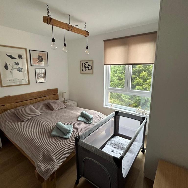 Apartmani Šišarka Jahorina - Apartman sa 1 Spavaćom Sobom - 20