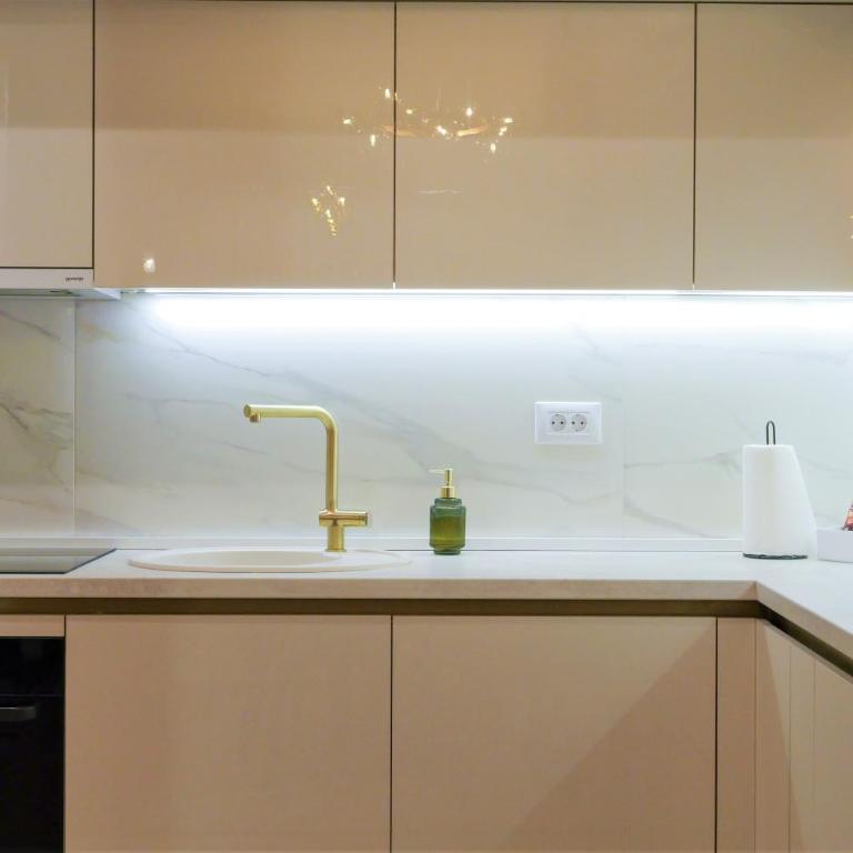 Palata Gold Apartment - Apartman sa 1 Spavaćom Sobom - 18