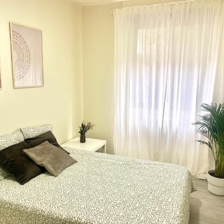 Oviedo centro - Apartamento de 3 dormitorios - 13