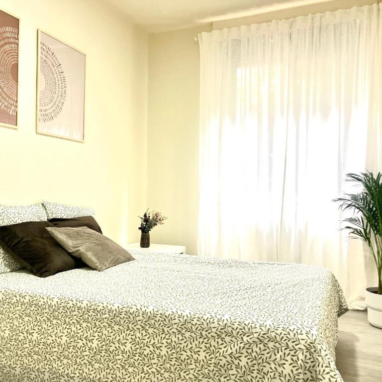 Oviedo centro - Apartamento de 3 dormitorios - 14