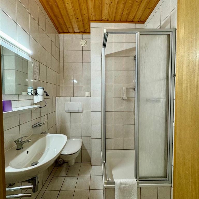 Hotel die Traube - Standard Doppelzimmer - 3
