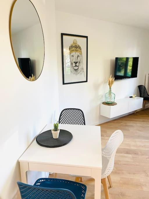 Le Chic Proche centre avec parking - Appartement 1 Chambre - 4