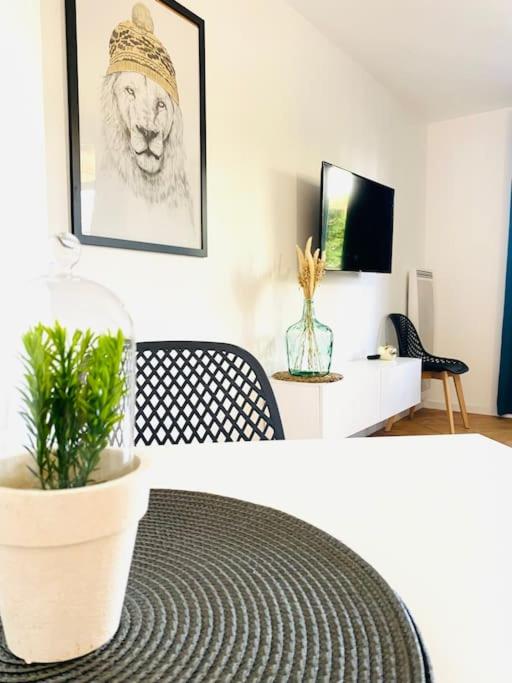 Le Chic Proche centre avec parking - Appartement 1 Chambre - 11