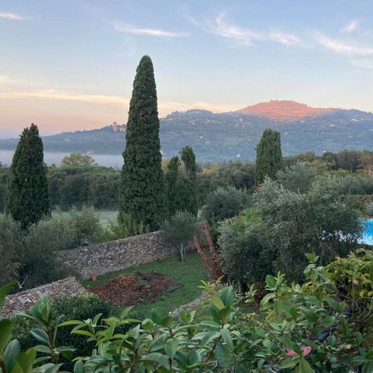 Torretta Filomena Villa Toscana - Villa - 52