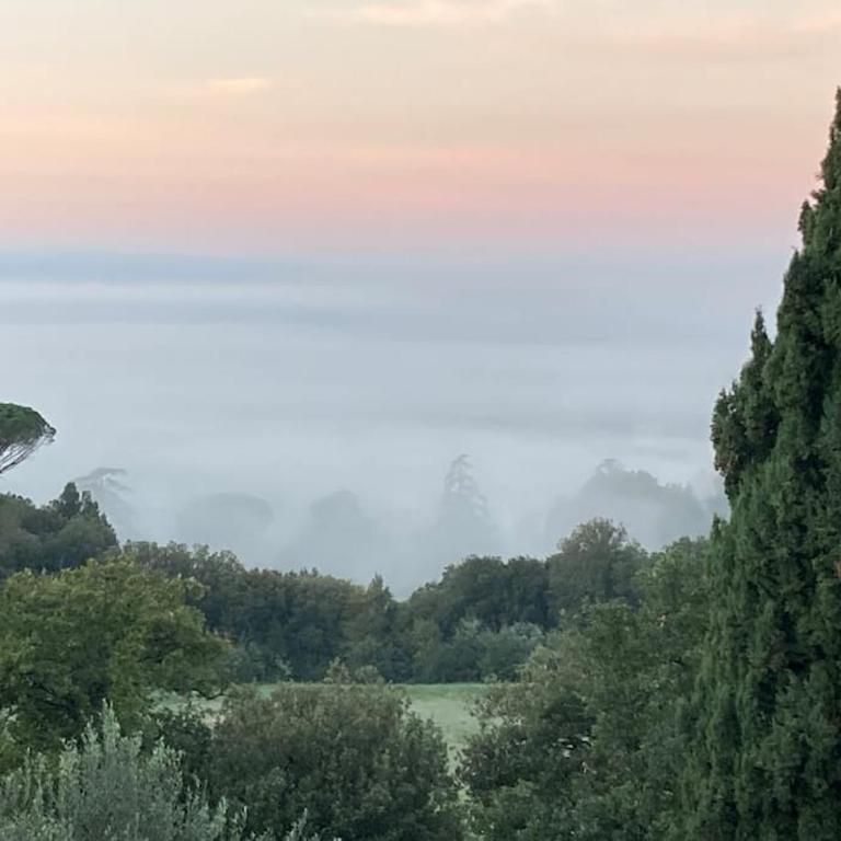 Torretta Filomena Villa Toscana - Villa - 49