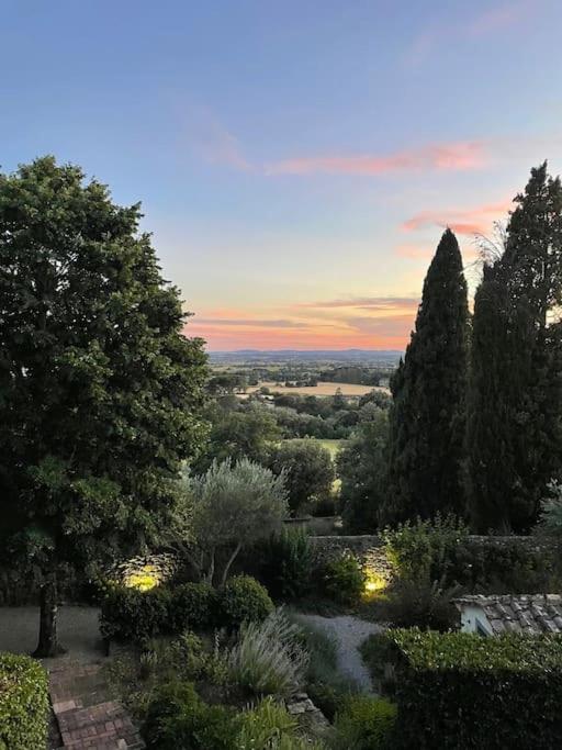 Torretta Filomena Villa Toscana - Villa - 5