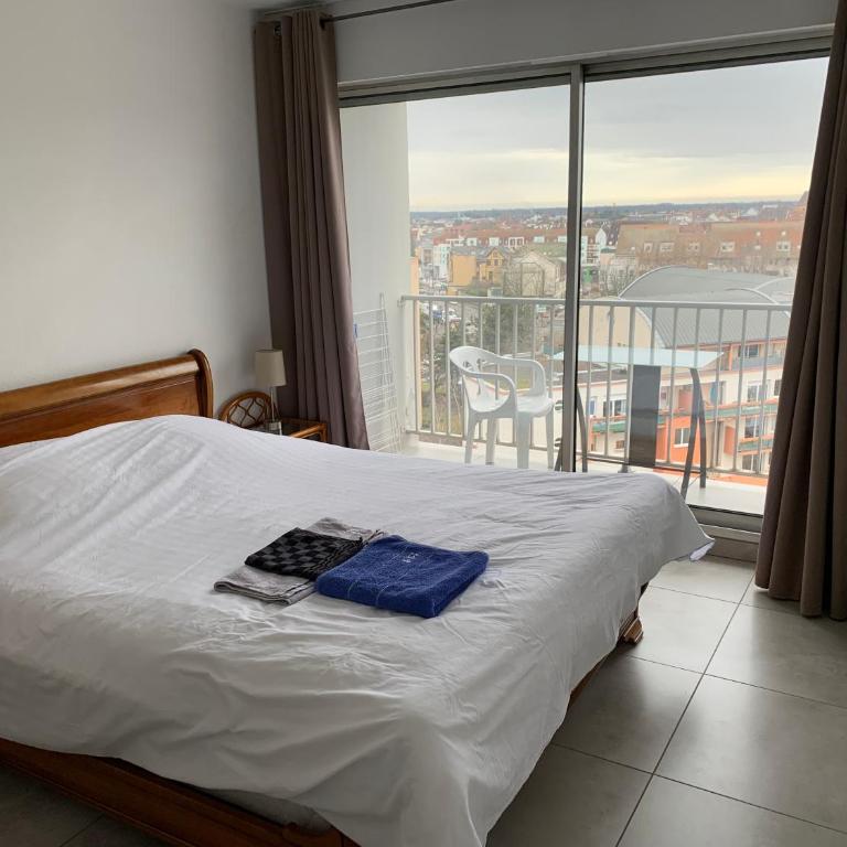 Colmar TOP - Appartamento con 1 Camera da Letto - 6
