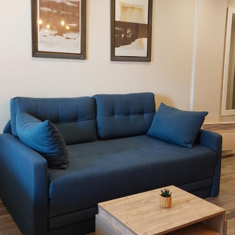 Apartman Viva Milmari - Apartman sa 1 Spavaćom Sobom - 5
