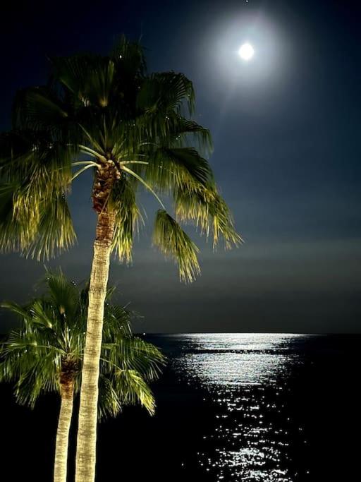 Beachfront, First line, 2-Bdr,2-Bath, Swiming Pool - Apartamento de 2 dormitorios con balcón y vistas al mar - 14