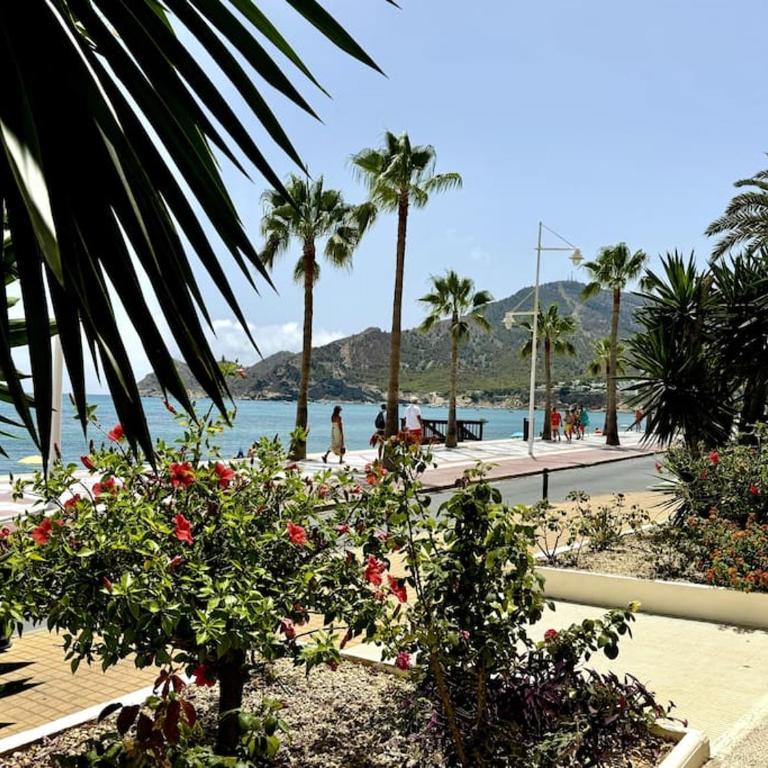 Beachfront, First line, 2-Bdr,2-Bath, Swiming Pool - Apartamento de 2 dormitorios con balcón y vistas al mar - 24