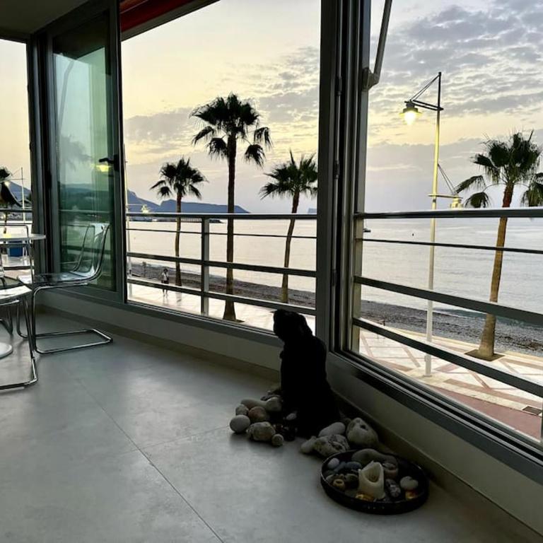 Beachfront, First line, 2-Bdr,2-Bath, Swiming Pool - Apartamento de 2 dormitorios con balcón y vistas al mar - 37