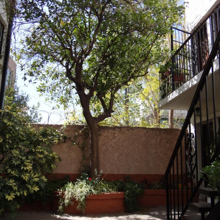 Departamento Completo en la 5ta Sección - One-Bedroom Apartment - 24