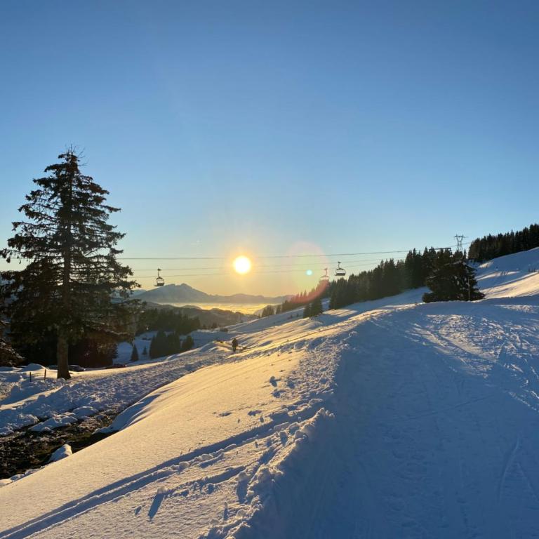 Mountainside Apartment with views over Morzine - Two-Bedroom Apartment - 16